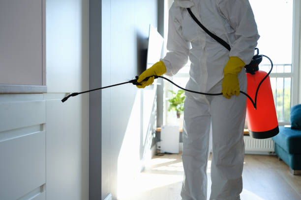 Best Residential Mold Remediation in Emmitsburg, MD